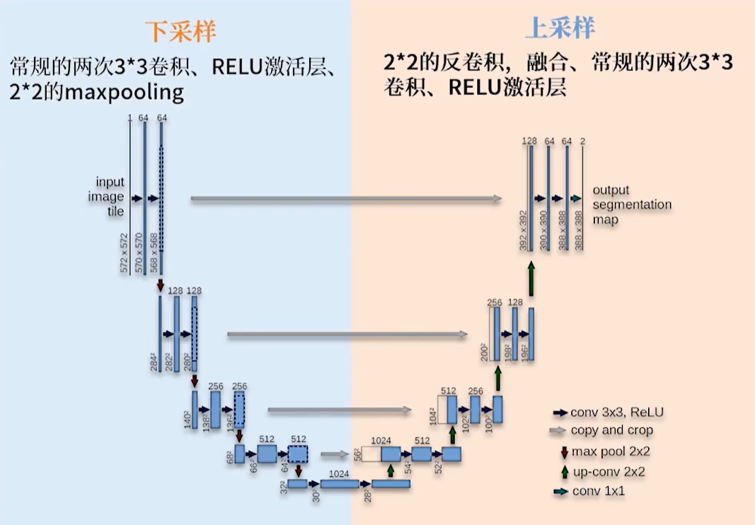 图片[4] - AI科研 编程 读书笔记 - 【人工智能】U-Net：使用CNN实现医学图像分割 - AI科研 编程 读书笔记 - 小竹の笔记本