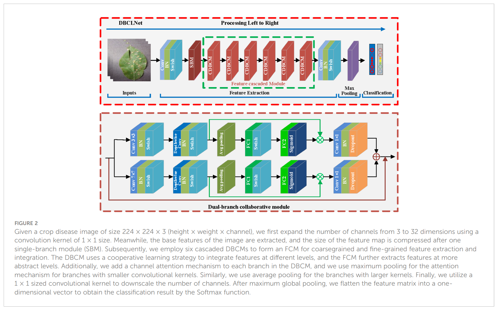 图片[2] - AI科研 编程 读书笔记 - 【人工智能】用于作物病害识别的双分支协同学习网络 - AI科研 编程 读书笔记 - 小竹の笔记本