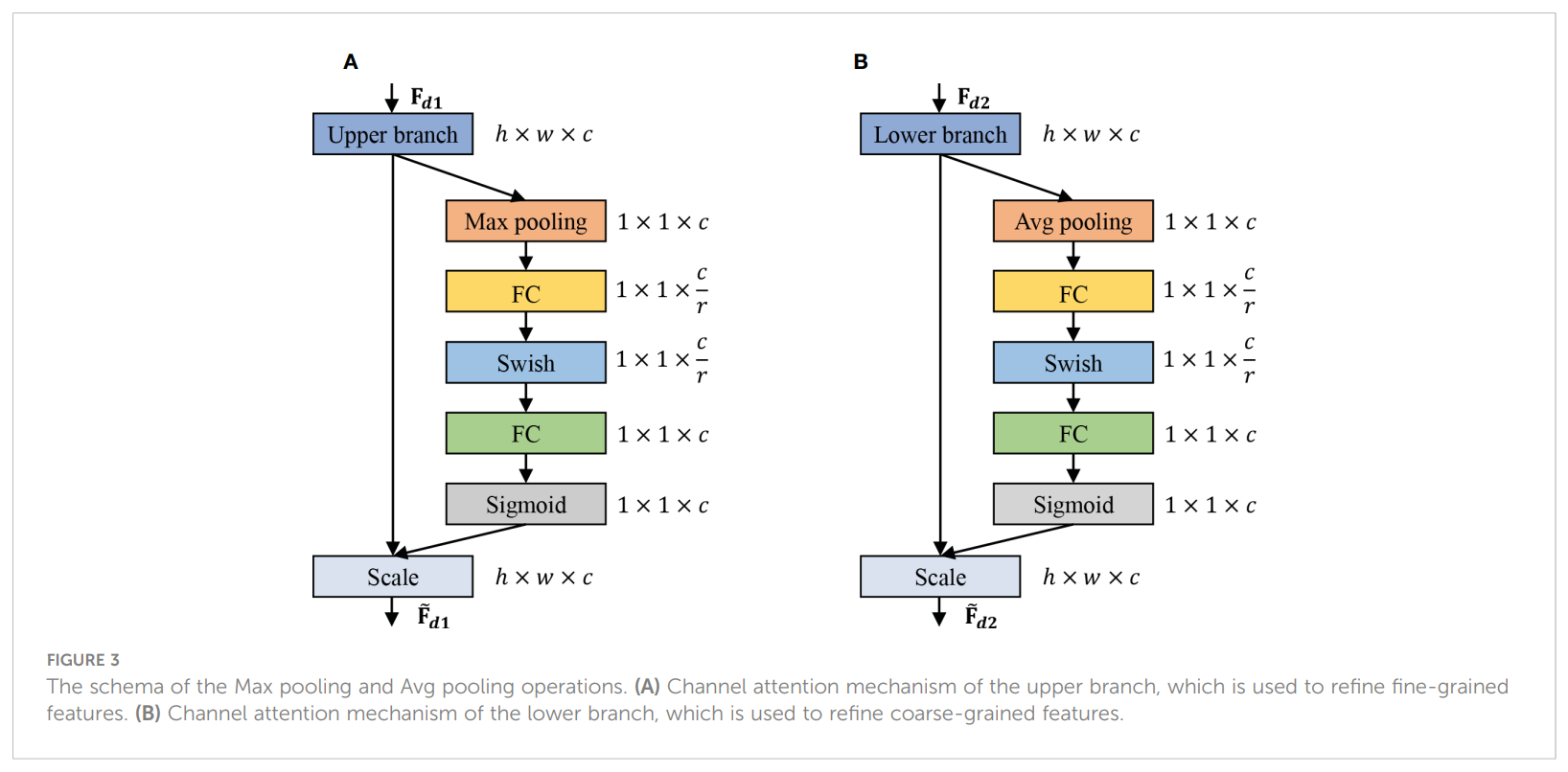 图片[3] - AI科研 编程 读书笔记 - 【人工智能】用于作物病害识别的双分支协同学习网络 - AI科研 编程 读书笔记 - 小竹の笔记本