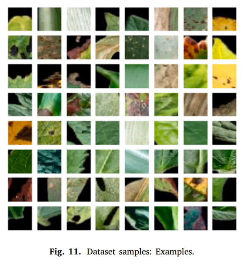 图片[5] - AI科研 编程 读书笔记 - 【人工智能】用于跨作物植物病害检测的创新深度学习方法：一种识别不健康叶片的通用方法 - AI科研 编程 读书笔记 - 小竹の笔记本