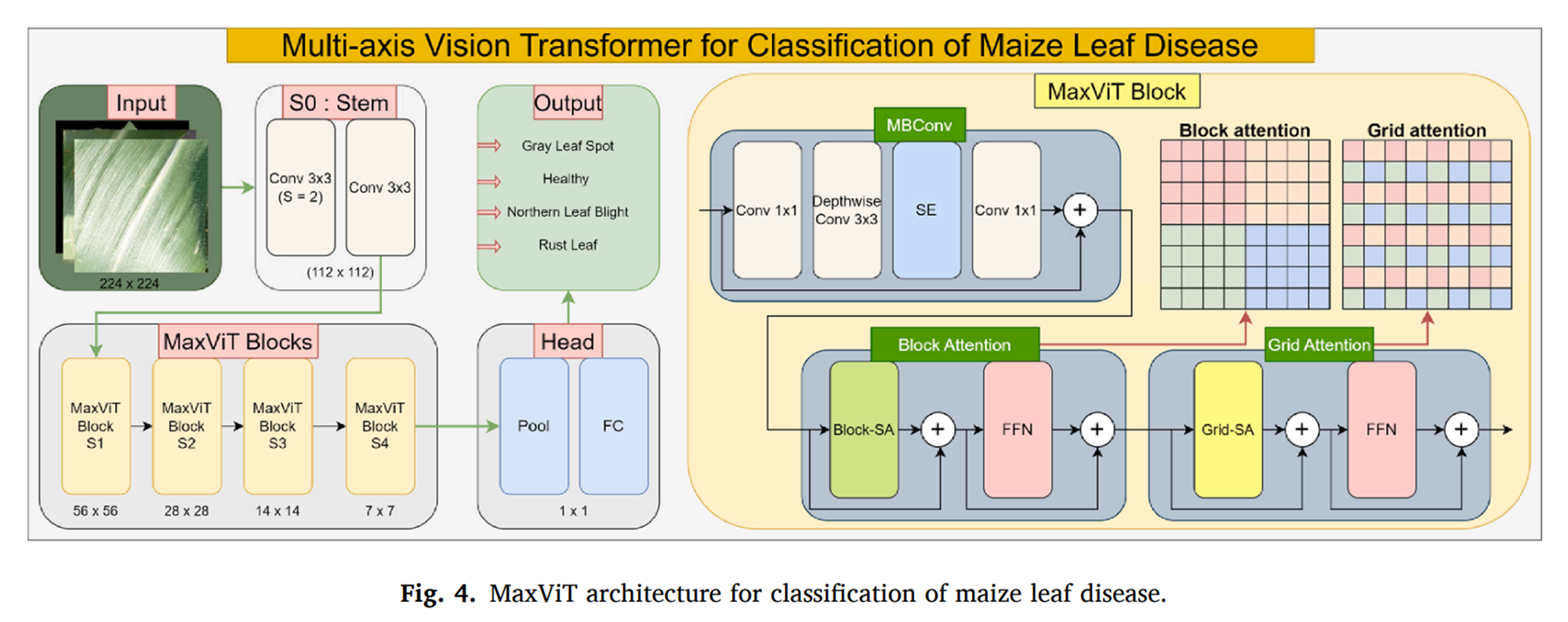 图片[2] - AI科研 编程 读书笔记 - 【人工智能】通过玉米叶片病害识别提高作物生产力与可持续性：利用大型数据集与先进视觉Transformer模型 - AI科研 编程 读书笔记 - 小竹の笔记本