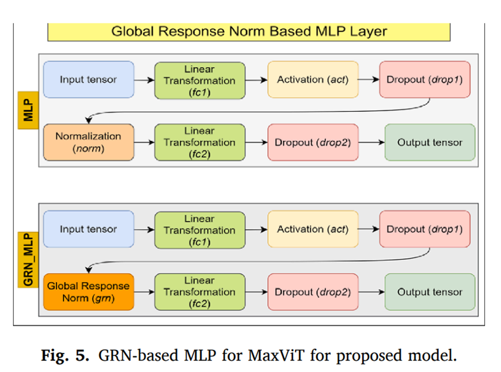 图片[3] - AI科研 编程 读书笔记 - 【人工智能】通过玉米叶片病害识别提高作物生产力与可持续性：利用大型数据集与先进视觉Transformer模型 - AI科研 编程 读书笔记 - 小竹の笔记本