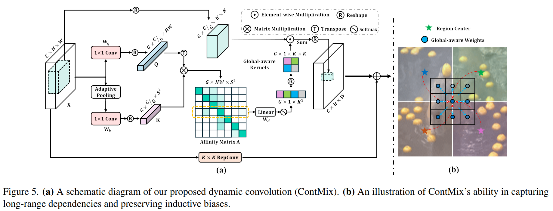 图片[5] - AI科研 编程 读书笔记 - 【人工智能】OverLoCK: 一种先概览后细察且具有上下文混合动态内核的卷积神经网络 - AI科研 编程 读书笔记 - 小竹の笔记本
