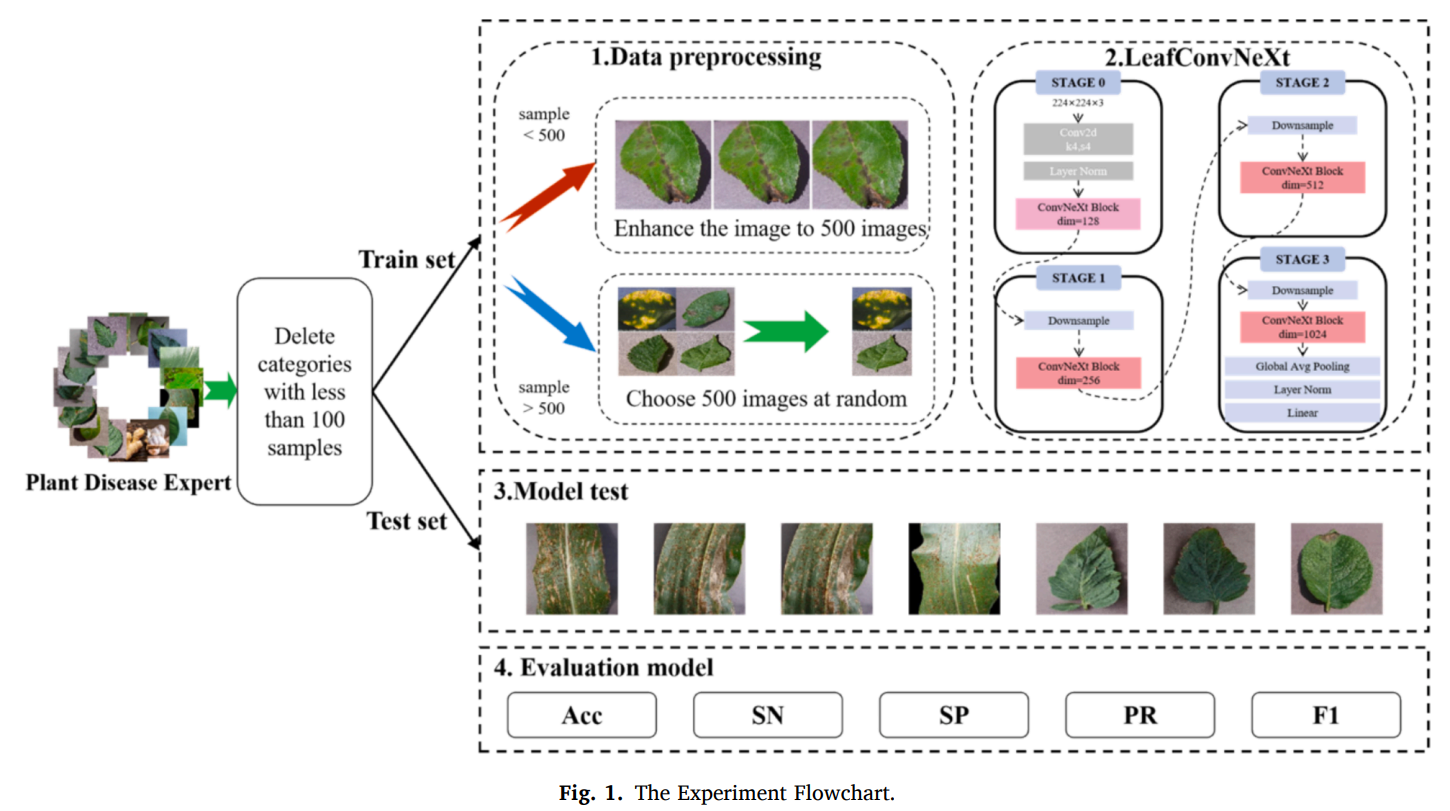 图片[4] - AI科研 编程 读书笔记 - 【人工智能】LeafConvNeXt：为无人农业的未来强化植物病害分类 - AI科研 编程 读书笔记 - 小竹の笔记本