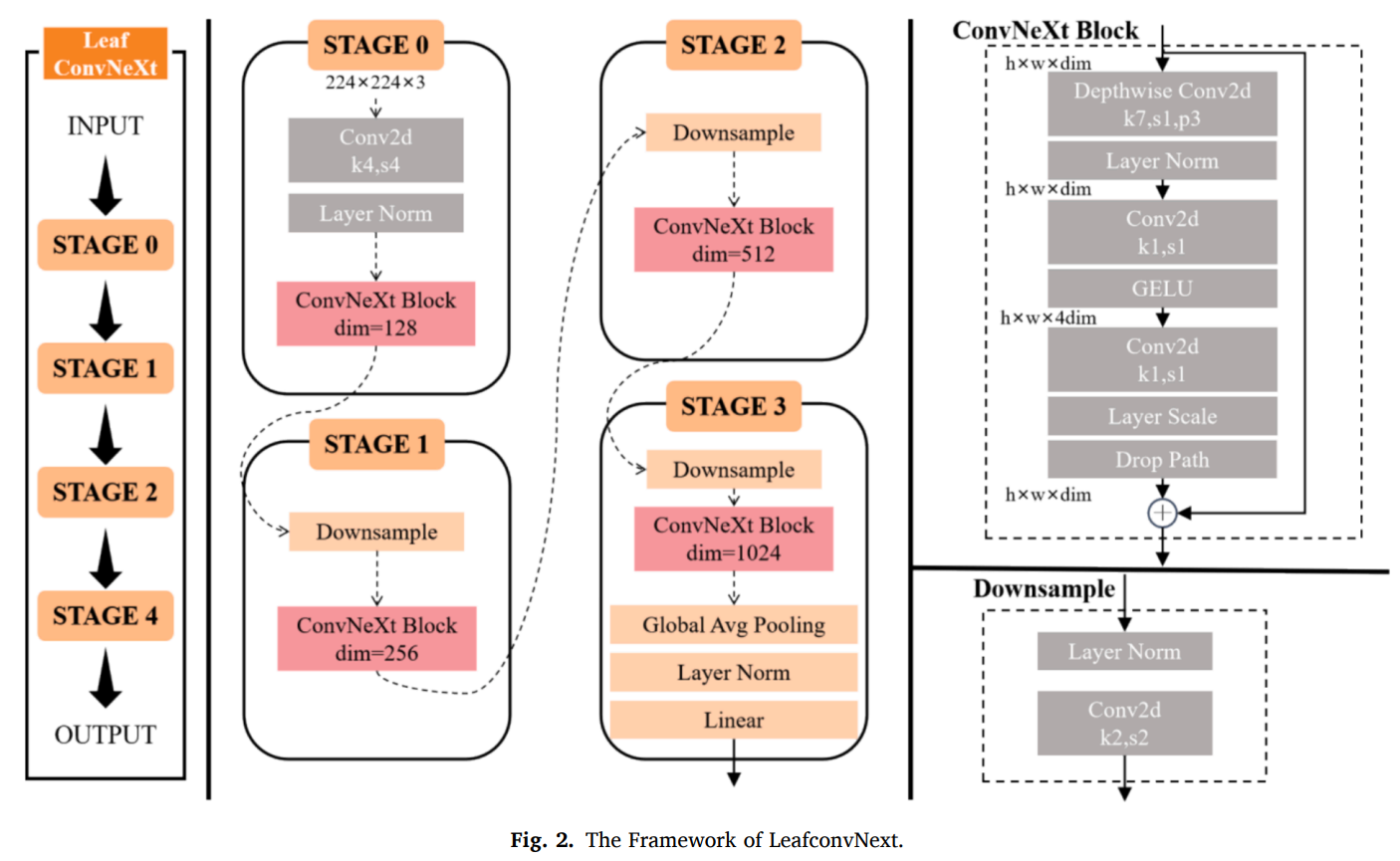 图片[3] - AI科研 编程 读书笔记 - 【人工智能】LeafConvNeXt：为无人农业的未来强化植物病害分类 - AI科研 编程 读书笔记 - 小竹の笔记本