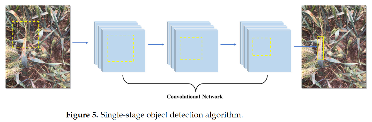 图片[7] - AI科研 编程 读书笔记 - 【人工智能】深度学习在植物病虫害检测应用中的进展: 综述 - AI科研 编程 读书笔记 - 小竹の笔记本