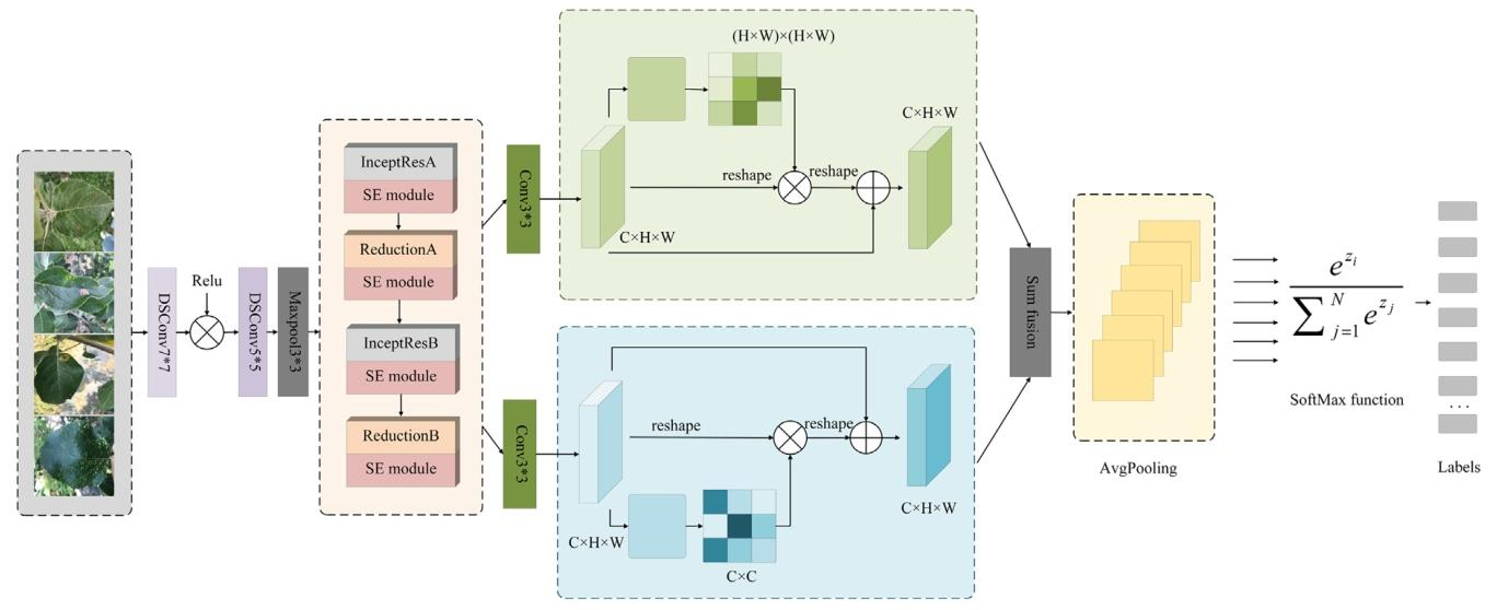 图片[2] - AI科研 编程 读书笔记 - 【人工智能】DAMSLNet：用于植物病害分类的双注意力多尺度轻量级网络 - AI科研 编程 读书笔记 - 小竹の笔记本