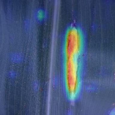 【人工智能】【Python】可解释性分析怎么做？使用Grad-CAM - AI科研 编程 读书笔记 - 小竹の笔记本